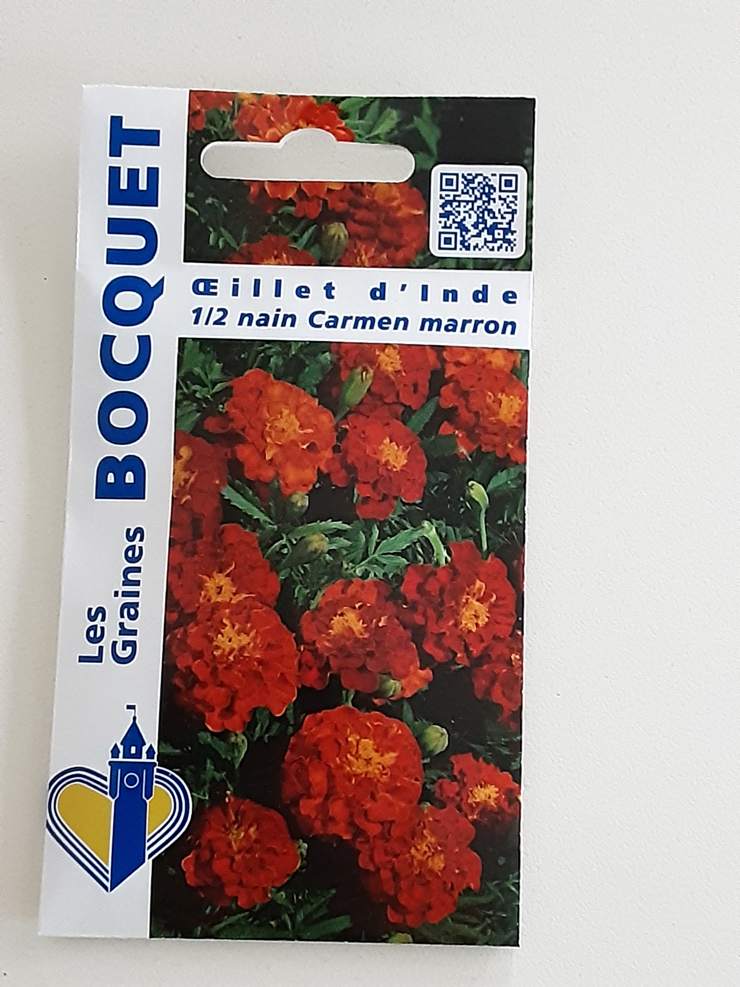 Graines de fleurs à Hazebrouck