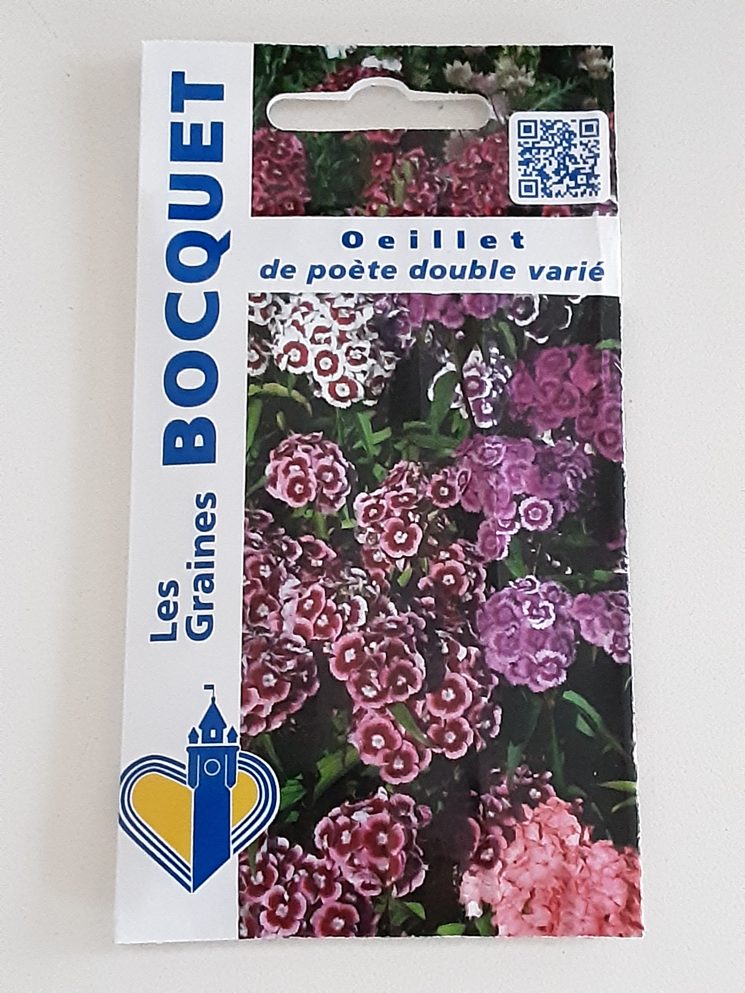 Graines de fleurs à Hazebrouck