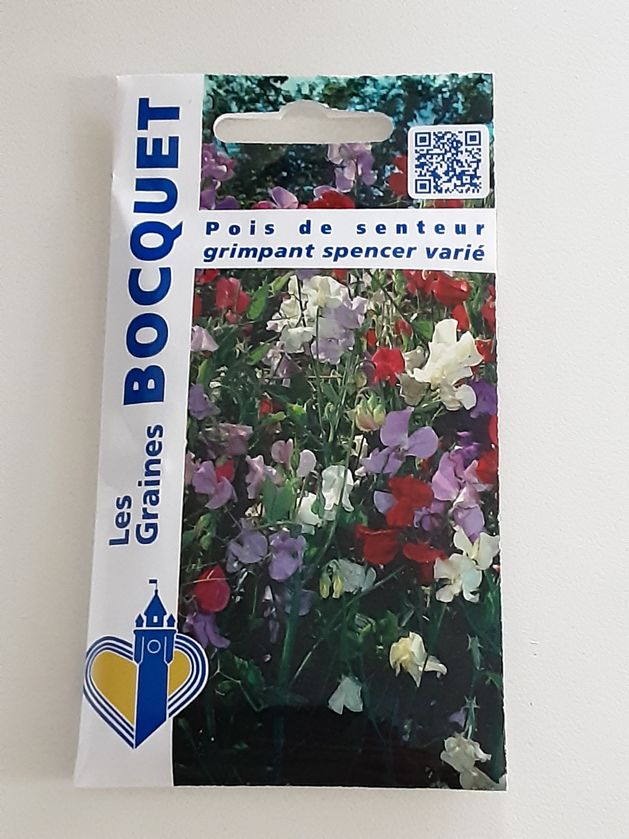 Graines de fleurs à Hazebrouck