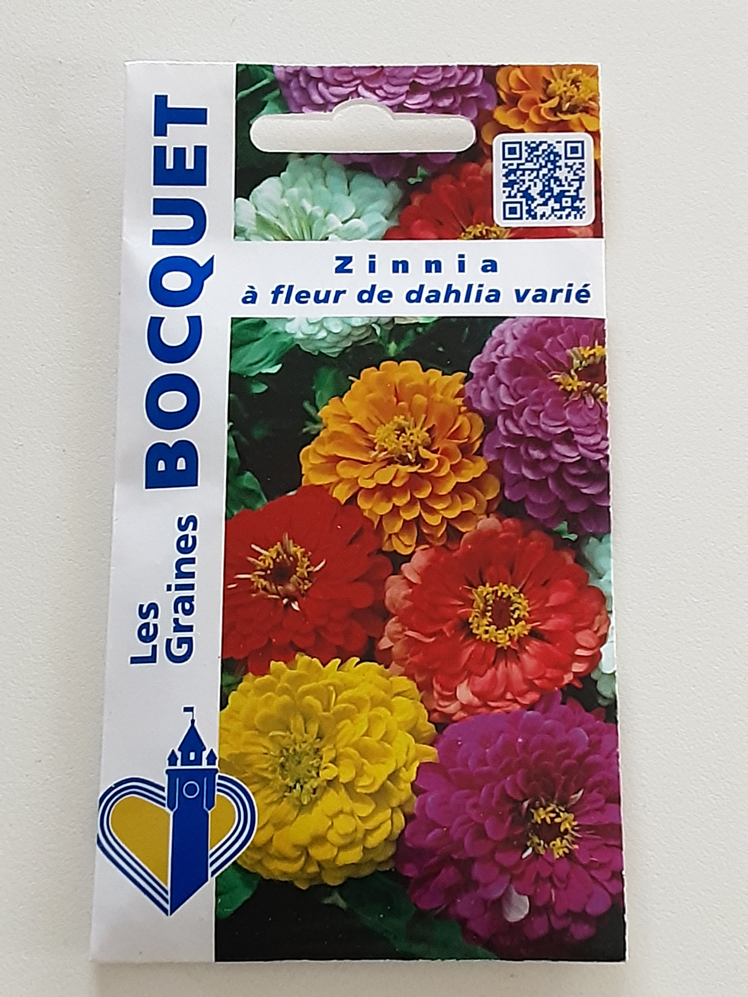 Graines de fleurs à Hazebrouck