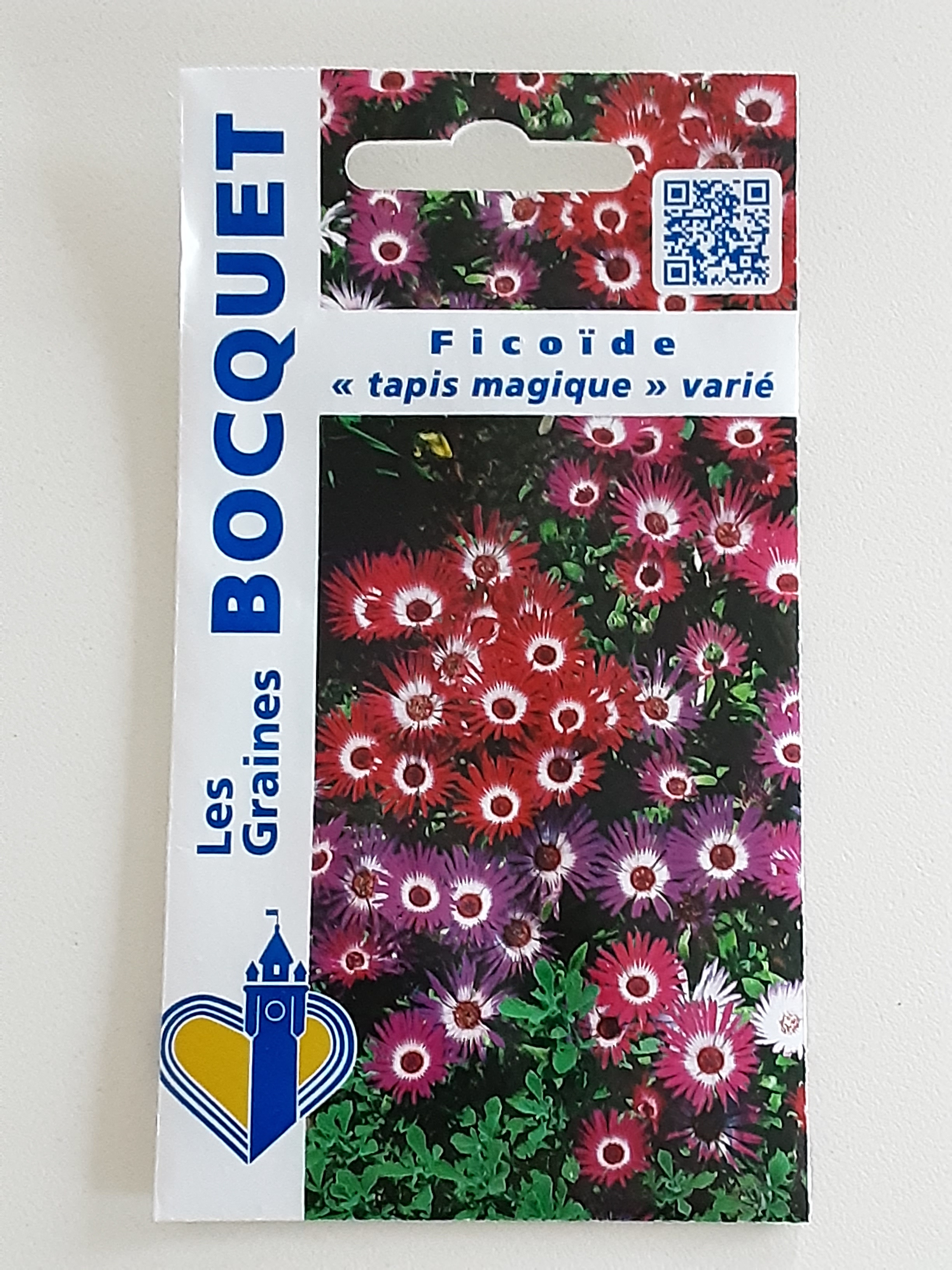Graines de fleurs à Hazebrouck